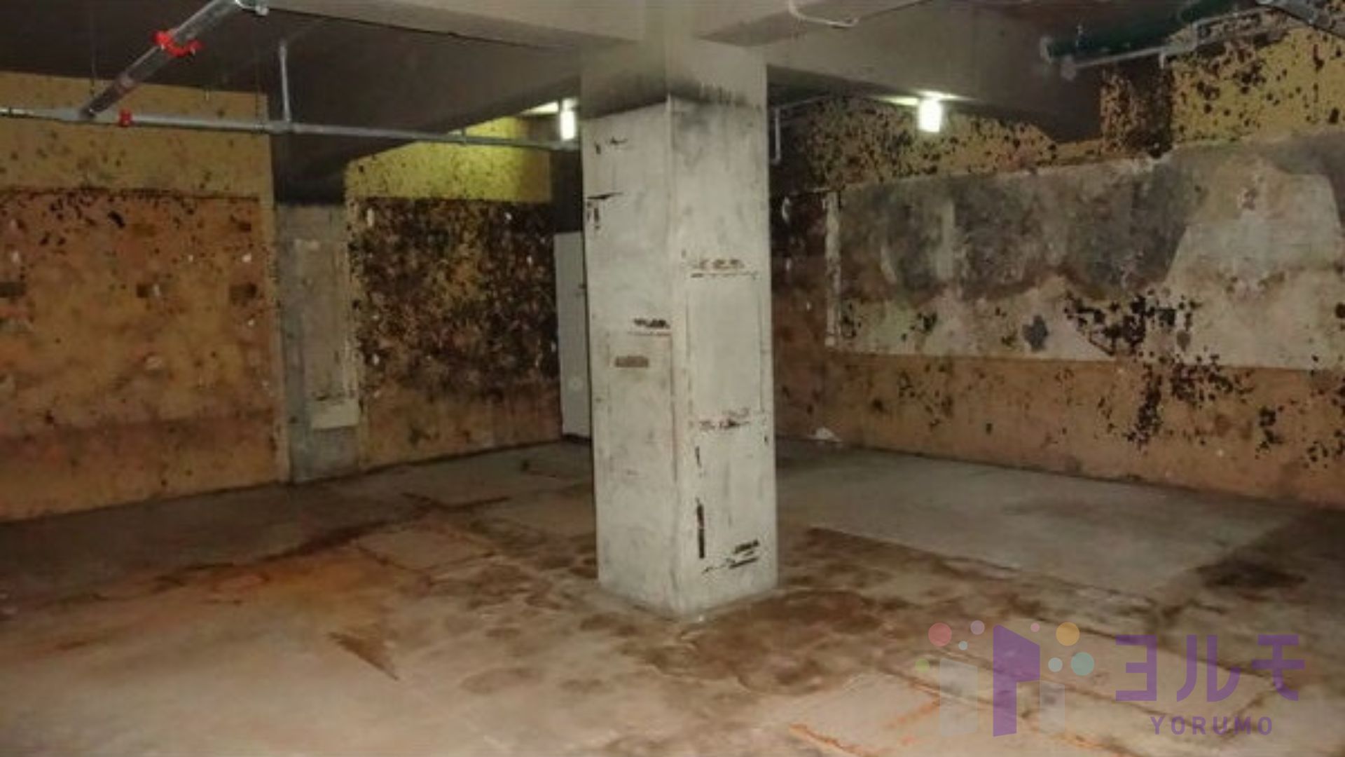 ピポットワシントン栄　B101